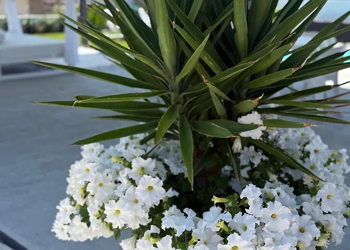 בית נופש Lagarteira *