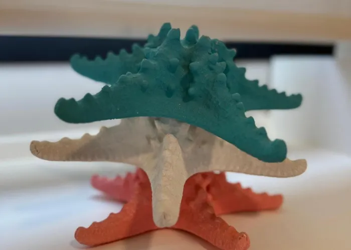 בית נופש Lagarteira *